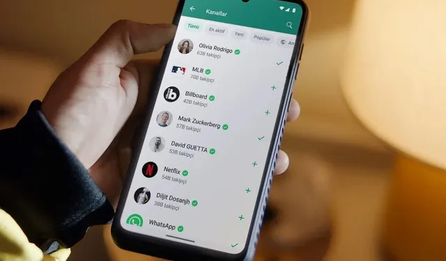 WhatsApp'ta Yakın Arkadaşlar Modu: Hikayeler Gizlenecek
