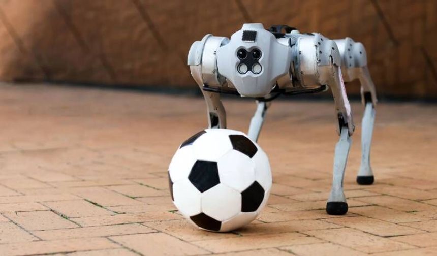 Dünya Kupası'nda Bir İlk: Meksika’da Robot Köpek Olacak